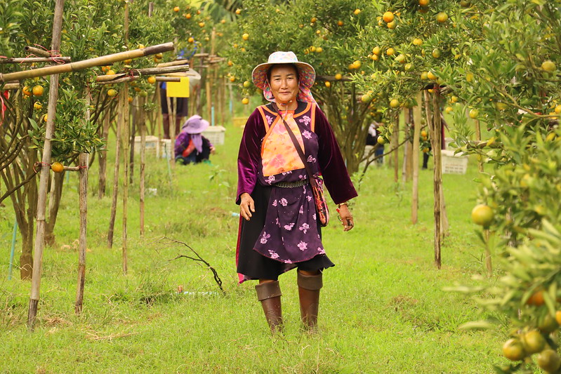 Un voyage chez les&nbsp;Lisu