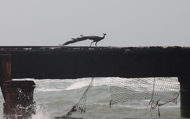 La Légende de Lanka (Acte&nbsp;2)