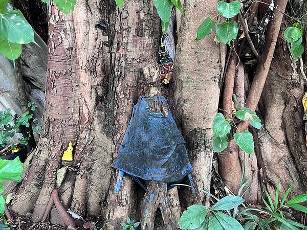 Saraphi, On the Edges of&nbsp;Buddhism