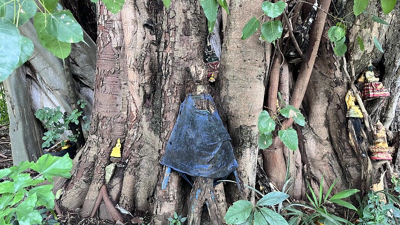 Saraphi, On the Edges of&nbsp;Buddhism